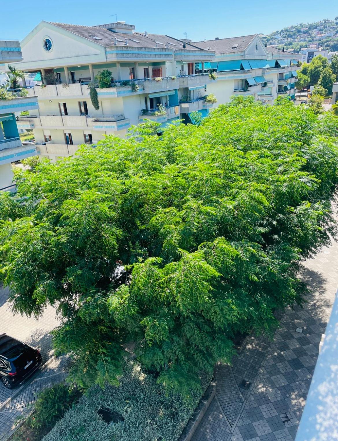 Attico Vista E Fronte Mare Zaffiroblu Con Posto Auto Apartment มอนเตซิลวาโน ภายนอก รูปภาพ